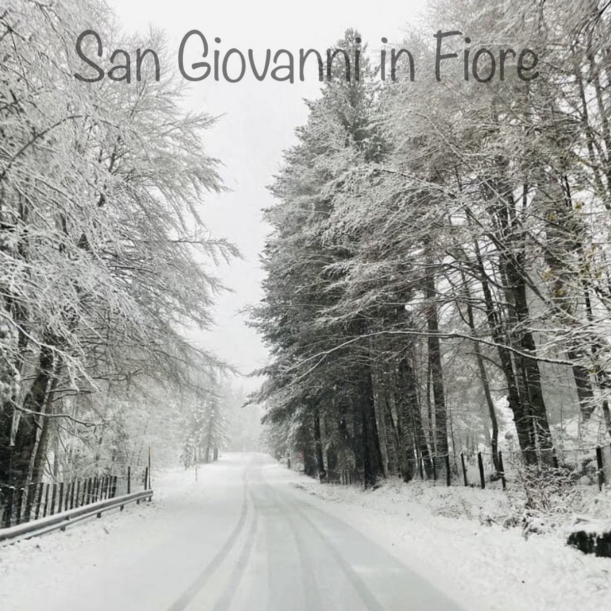 Taxi San Giovanni in fiore